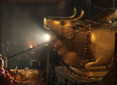 information about pashupatinath temple details pashupatinath temple is one of the most famous temple in Kathmandu. Dedicated to Lord Shiva 